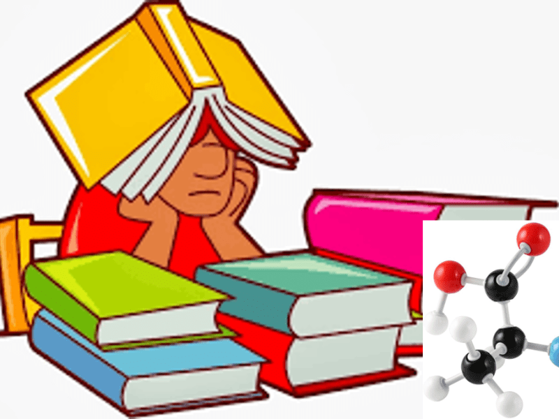 ALLENAMENTO PER LA PROVA INTERCORSO del 1° dicembre – 2&nbsp;parte