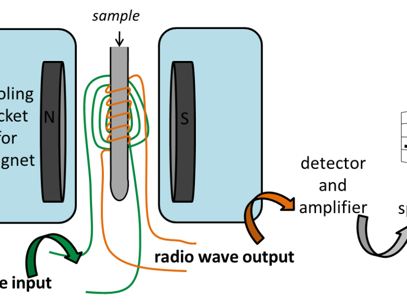 Tecniche Analitiche in Metabolomica:&nbsp;NMR