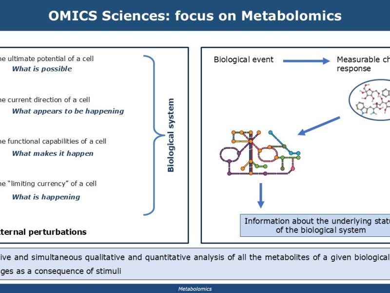 Metabolomica e scienze&nbsp;omiche