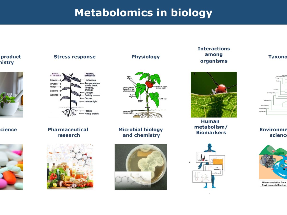 Applicazioni della metabolomica