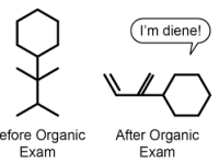 Esercitiamoci per la prova scritta&nbsp;VIII