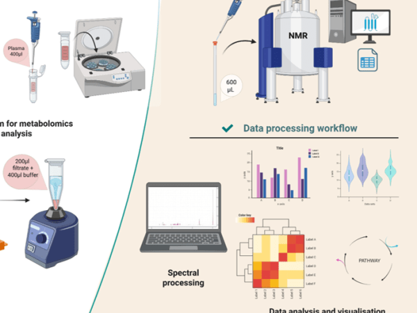 Metabolomica-Esercitazione di Laboratorio