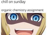 Esercitiamoci per la prova scritta&nbsp;X