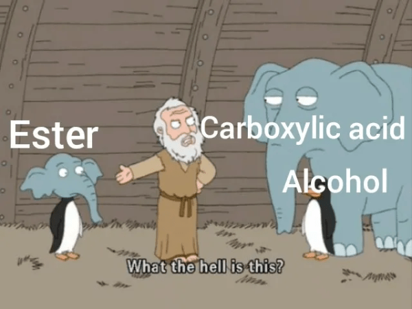 Esercitazione su reazioni di sostituzione nucleofila acilica e di addizione nucleofila ai composti&nbsp;carbonilici