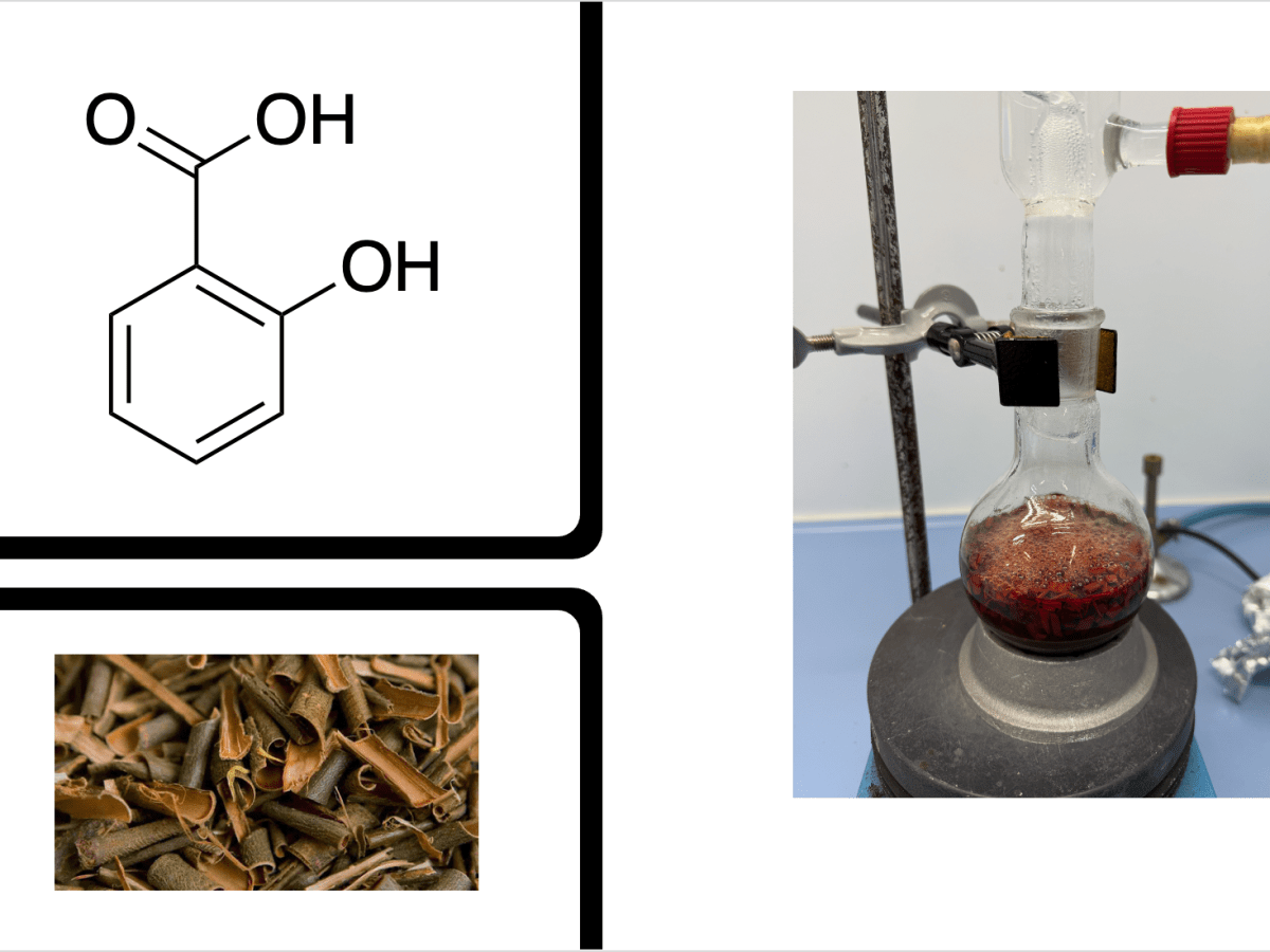 Estrazione dei salicilati dalla corteccia di salice, idrolisi acida dei derivati e identificazione dell’acido salicilico mediante&nbsp;TLC
